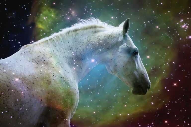 Venczel Zsolt – A galaxis lovai – fotókiállítás megnyitó