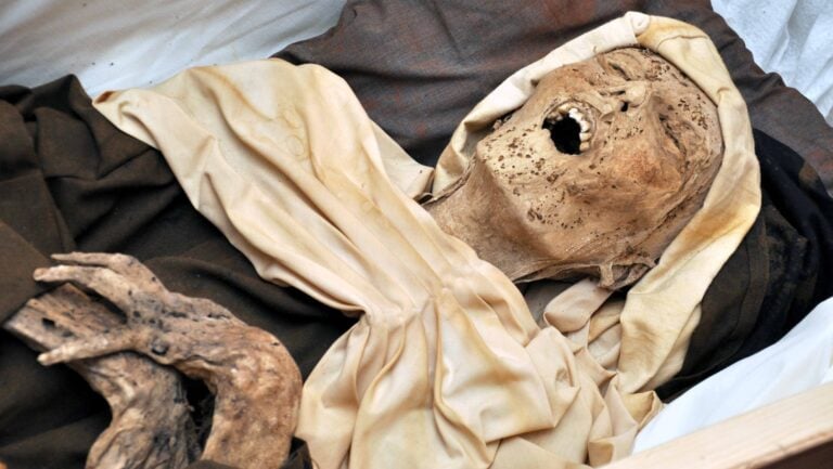 Szalonegyetem: Szóra bírt halottak: A „Váci múmiák”